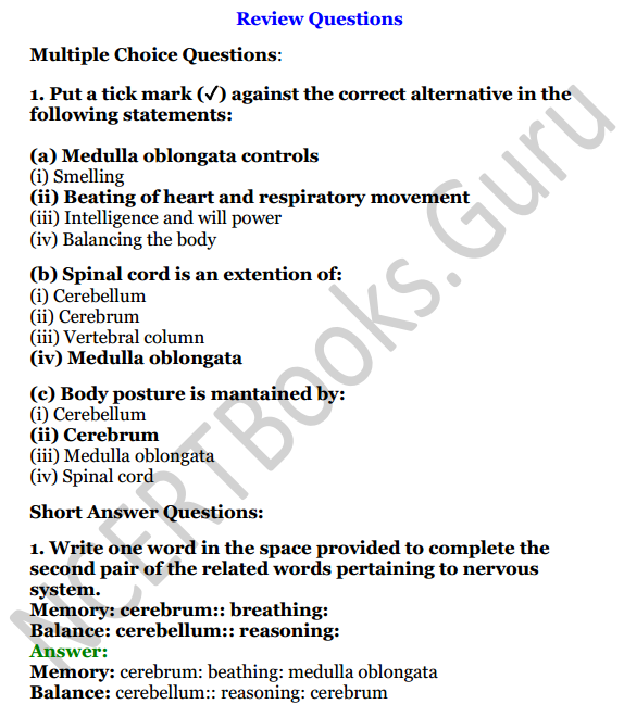 Selina Concise Biology Class 7 ICSE Solutions Chapter 6 Nervous System 1