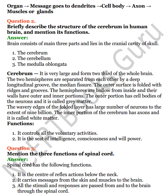 Selina Concise Biology Class 7 ICSE Solutions Chapter 6 Nervous System 4