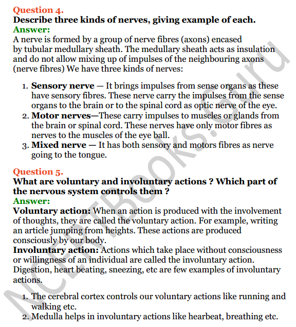 Selina Concise Biology Class 7 ICSE Solutions Chapter 6 Nervous System 5