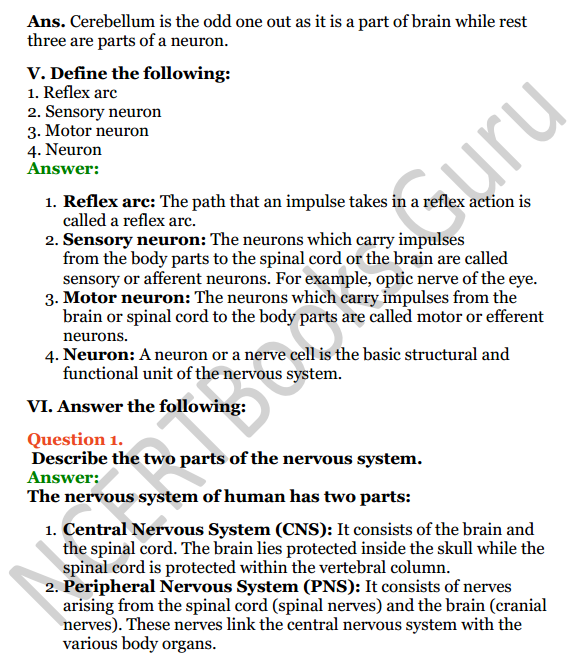 Selina Concise Biology Class 7 ICSE Solutions Chapter 6 Nervous System 7