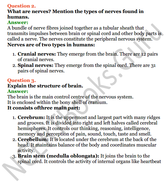 Selina Concise Biology Class 7 ICSE Solutions Chapter 6 Nervous System 8