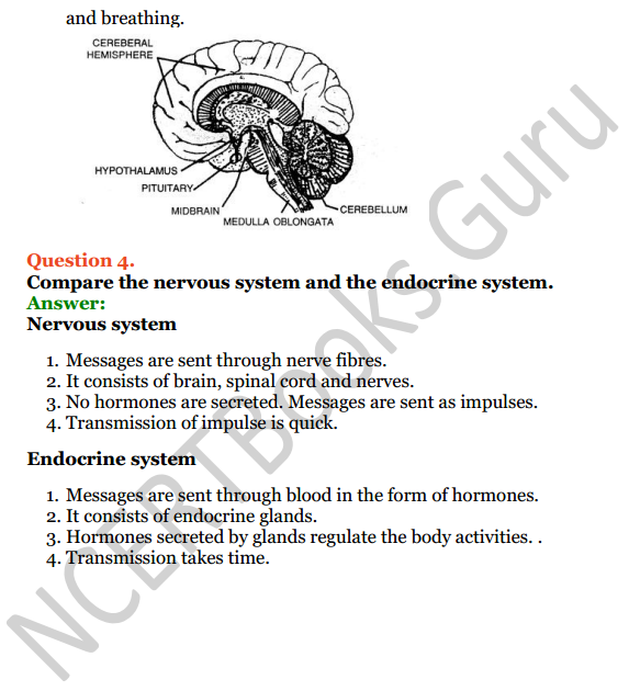 Selina Concise Biology Class 7 ICSE Solutions Chapter 6 Nervous System 9