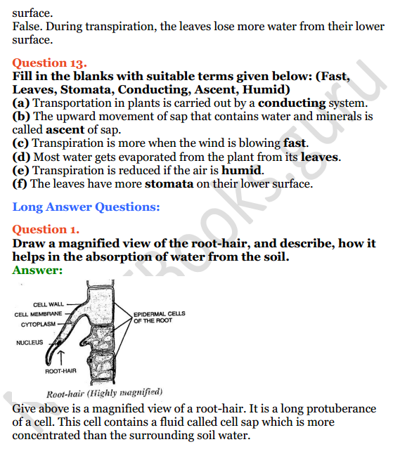 Selina Concise Biology Class 8 ICSE Solutions Chapter 1 Transportation in Plants 11