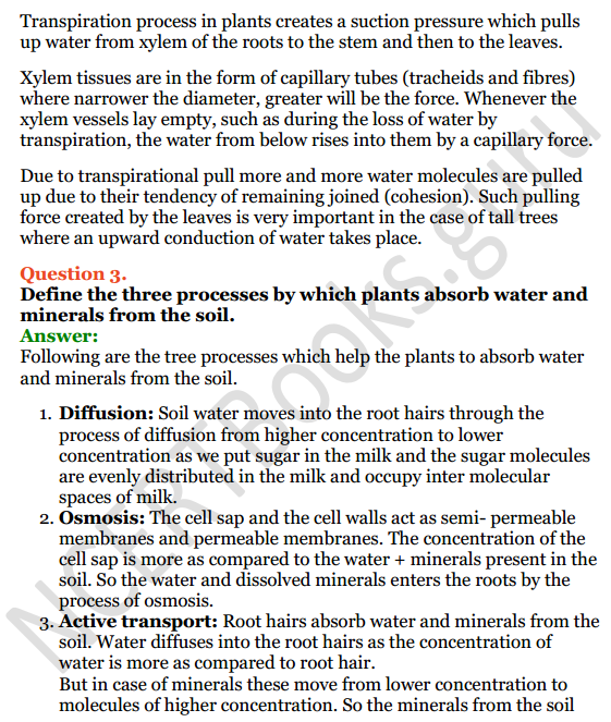 Selina Concise Biology Class 8 ICSE Solutions Chapter 1 Transportation in Plants 13