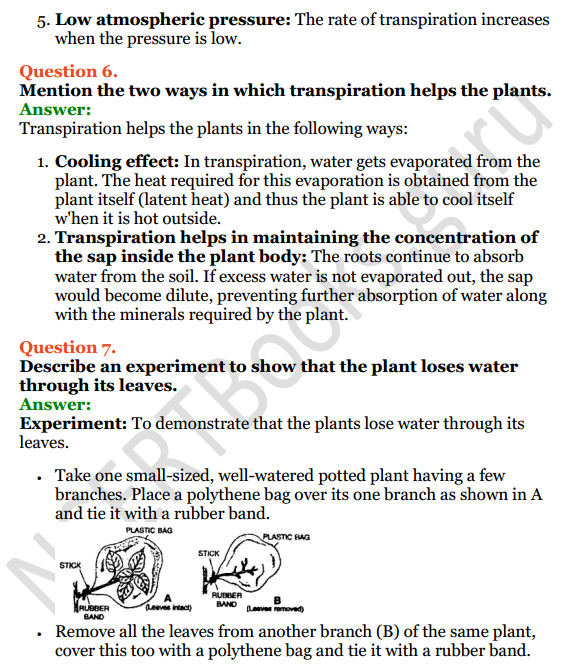 Selina Concise Biology Class 8 ICSE Solutions Chapter 1 Transport in Plants 15