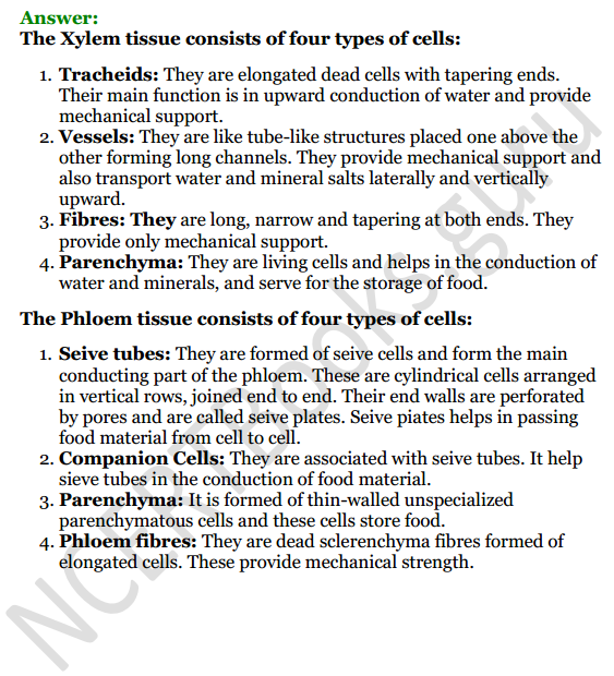 Selina Concise Biology Class 8 ICSE Solutions Chapter 1 Transportation in Plants 17