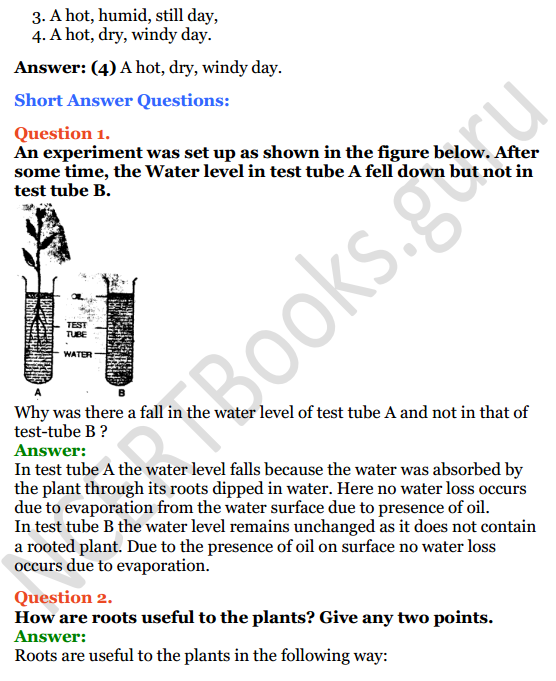 Selina Concise Biology Class 8 ICSE Solutions Chapter 1 Transport in Plants 3