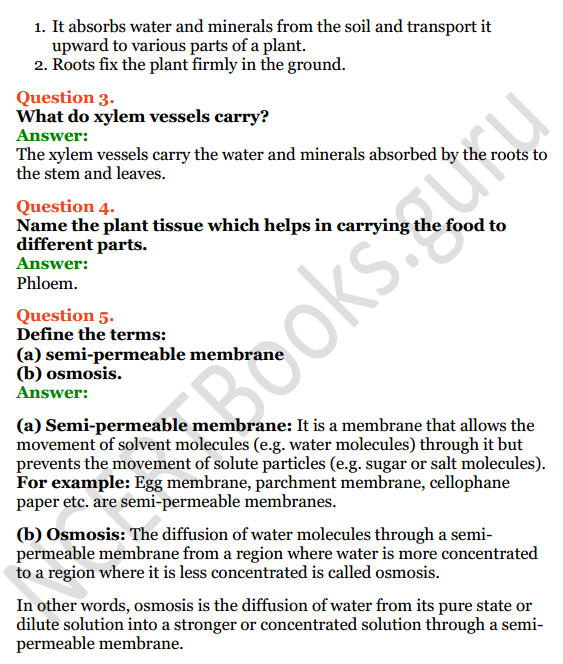 Selina Concise Biology Class 8 ICSE Solutions Chapter 1 Transportation in Plants 4