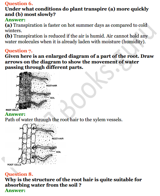 Selina Concise Biology Class 8 ICSE Solutions Chapter 1 Transportation in Plants 5