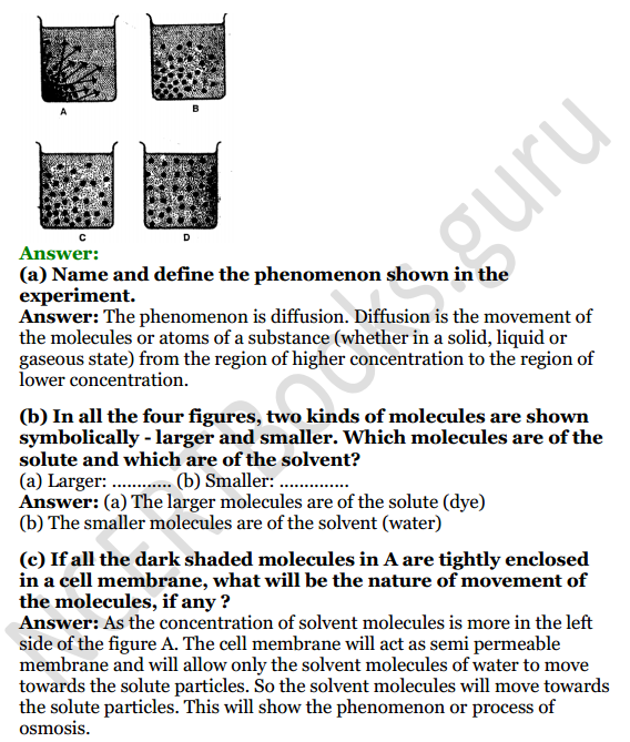 Selina Concise Biology Class 8 ICSE Solutions Chapter 1 Transportation in Plants 7