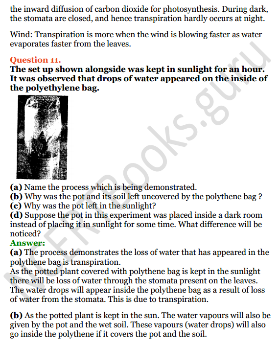 Selina Concise Biology Class 8 ICSE Solutions Chapter 1 Transportation in Plants 9