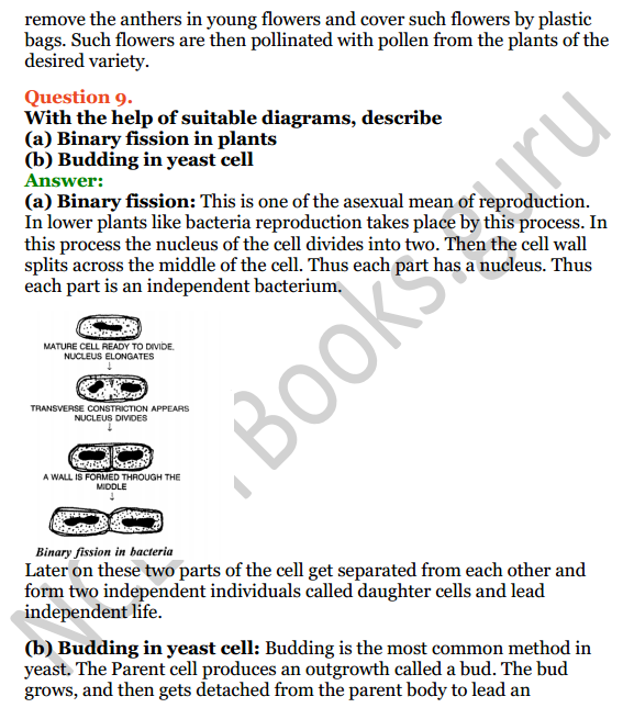 Selina Concise Biology Class 8 ICSE Solutions Chapter 2 Reproduction in Plants 10
