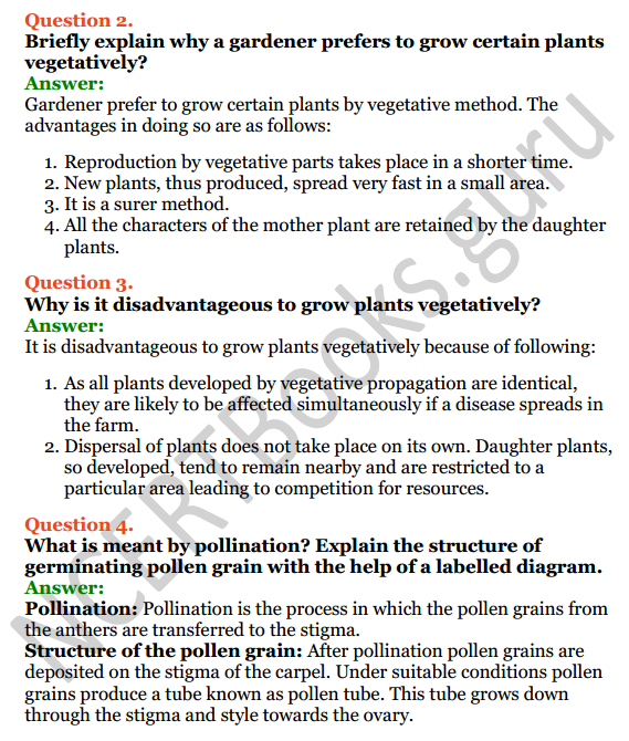 Selina Concise Biology Class 8 ICSE Solutions Chapter 2 Reproduction in Plants 4