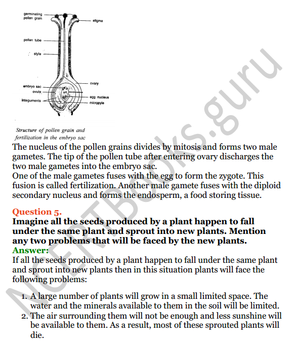 Selina Concise Biology Class 8 ICSE Solutions Chapter 2 Reproduction in Plants 5