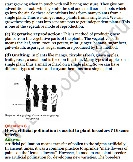 Selina Concise Biology Class 8 ICSE Solutions Chapter 2 Reproduction in Plants 9