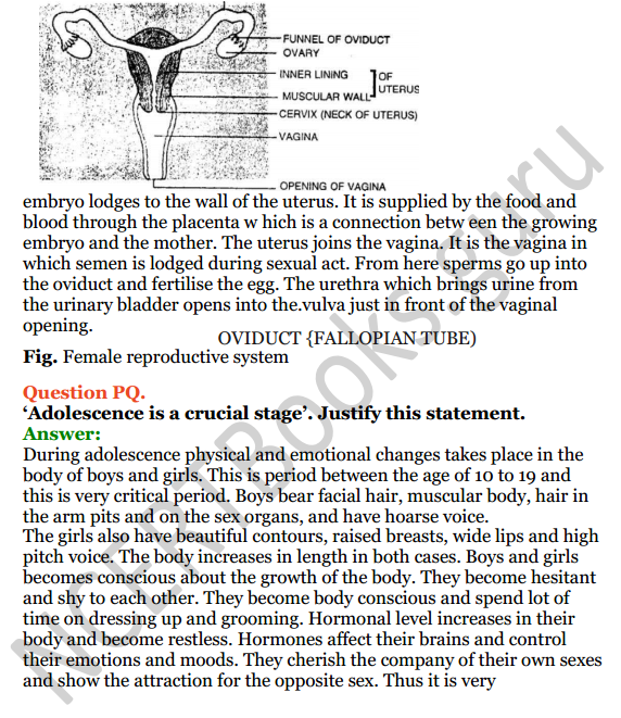 Selina Concise Biology Class 8 ICSE Solutions Chapter 3 Reproduction in Humans 10