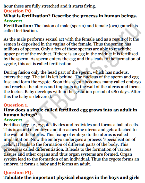 Selina Concise Biology Class 8 ICSE Solutions Chapter 3 Reproduction in Humans 8