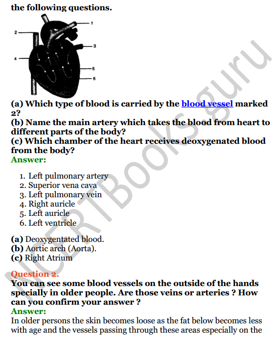 Selina Concise Biology Class 8 ICSE Solutions Chapter 6 The Circulatory System 7