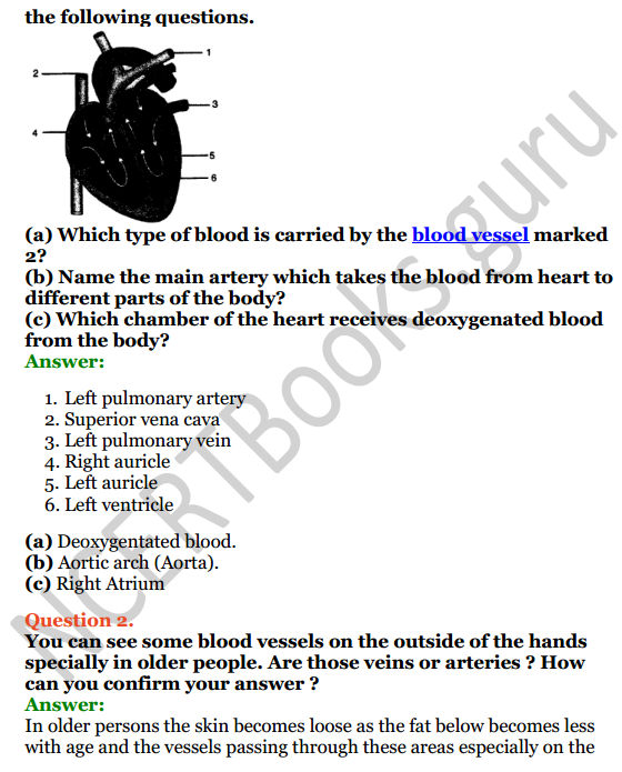 Selina Concise Biology Class 8 ICSE Solutions Chapter 6 Circulatory System 7