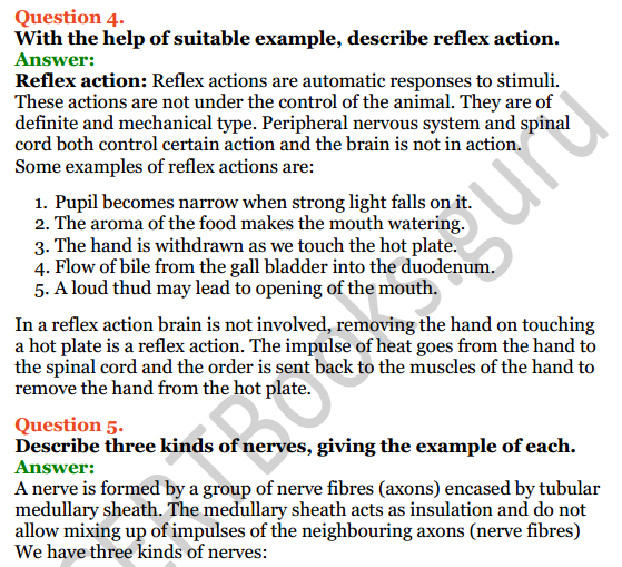 Selina Concise Biology Class 8 ICSE Solutions Chapter 7 Nervous System 7