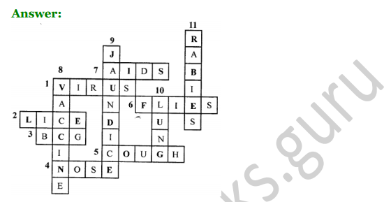 Selina Concise Biology Class 8 ICSE Solutions Chapter 8 Diseases and First Aid 13