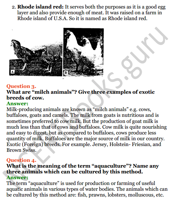 Selina Concise Biology Class 8 ICSE Solutions Chapter 9 Food Production -  NCERT Books