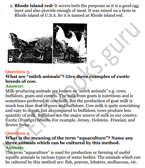 Selina Concise Biology Class 8 ICSE Solutions Chapter 9 Food Production 7