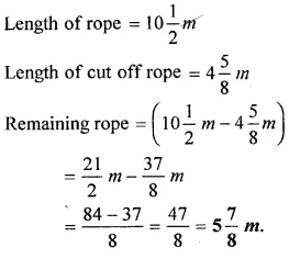 Selina Concise Mathematics Class 6 ICSE Solutions Chapter 14 Fractions Ex 14E 43