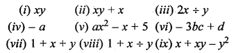 Selina Concise Mathematics Class 6 ICSE Solutions Chapter 18 Fundamental Concepts Ex 18B Q6