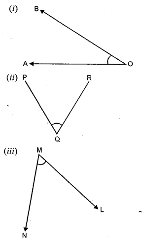 Selina Concise Mathematics Class 6 ICSE Solutions Chapter 24 Angles Ex 24A Q1