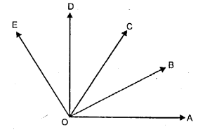 Selina Concise Mathematics Class 6 ICSE Solutions Chapter 24 Angles Ex 24A Q3