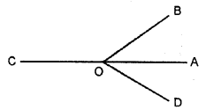 Selina Concise Mathematics Class 6 ICSE Solutions Chapter 24 Angles Ex 24A Q5