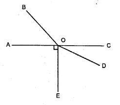 Selina Concise Mathematics Class 6 ICSE Solutions Chapter 24 Angles Ex 24A Q7