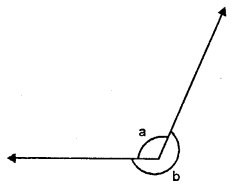 Selina Concise Mathematics Class 6 ICSE Solutions Chapter 24 Angles Ex 24A Q8