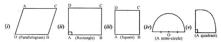 Selina Concise Mathematics Class 6 ICSE Solutions Chapter 30 Revision Exercise Symmetry Ex 30A Q10