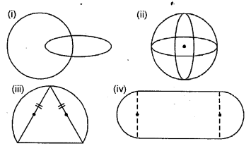 Selina Concise Mathematics Class 6 ICSE Solutions Chapter 30 Revision Exercise Symmetry Ex 30A Q6