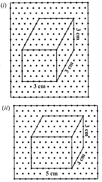 Selina Concise Mathematics Class 6 ICSE Solutions Chapter 31 Recognition of Solids 8