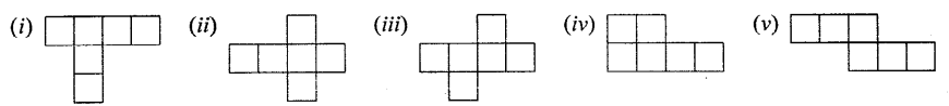 Selina Concise Mathematics Class 6 ICSE Solutions Chapter 31 Recognition of Solids Q1