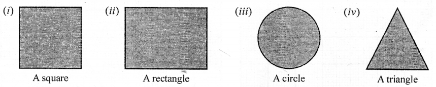 Selina Concise Mathematics Class 6 ICSE Solutions Chapter 31 Recognition of Solids Q5