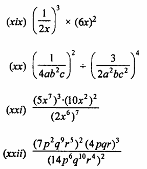 Selina Concise Mathematics Class 7 ICSE Solutions Chapter 5 Exponents (Including Laws of Exponents) Ex 5B 100