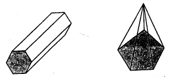 Selina Concise Mathematics Class 8 ICSE Solutions Chapter 19 Representing 3-D in 2-D Q13