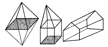 Selina Concise Mathematics Class 8 ICSE Solutions Chapter 19 Representing 3-D in 2-D Q4