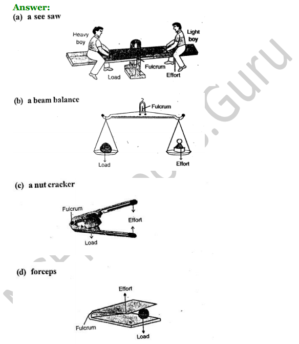 Selina Concise Physics Class 6 ICSE Solutions Chapter 4 Simple Machines 11