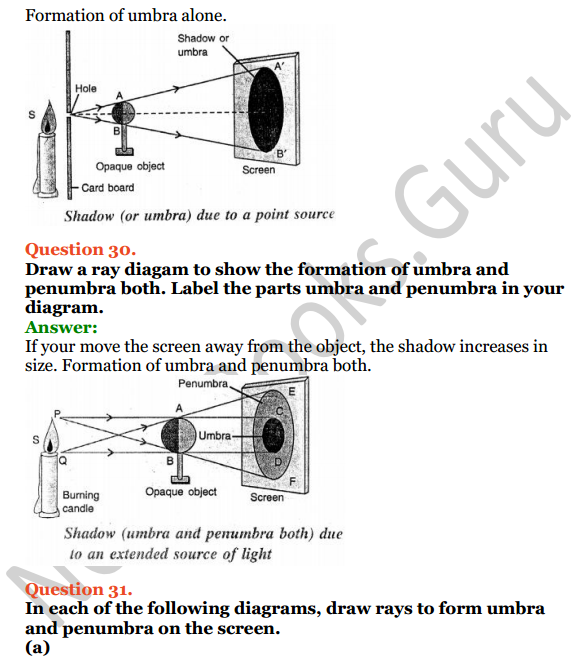 Selina Concise Physics Class 6 ICSE Solutions Chapter 5 Light 13