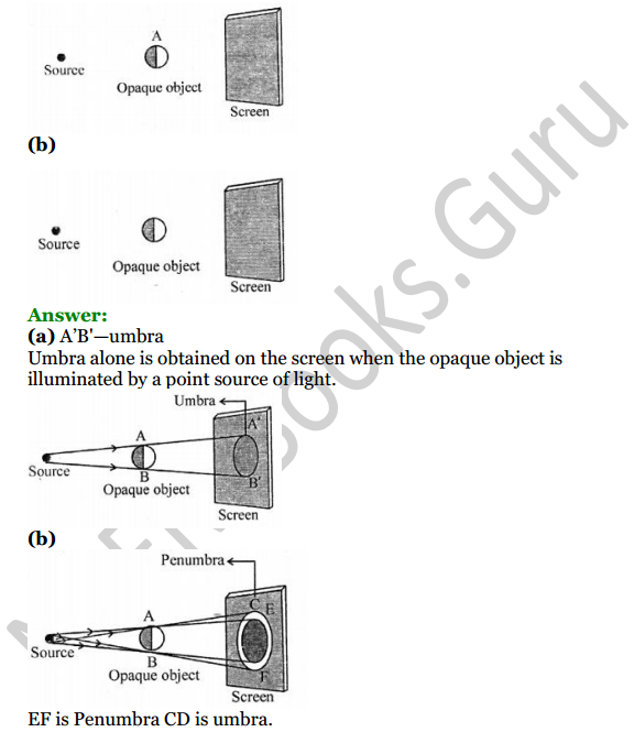 Selina Concise Physics Class 6 ICSE Solutions Chapter 5 Light 14