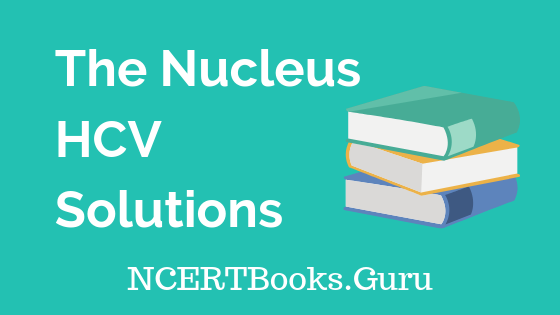 The Nucleus HCV Solutions