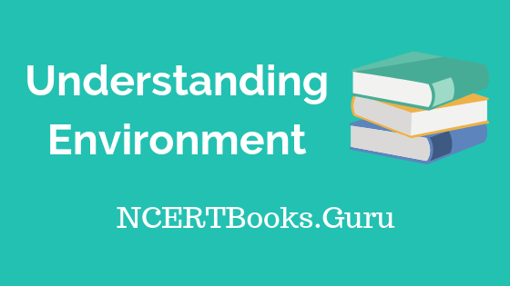 Old NCERT Geography Understanding Environment