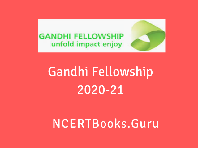 Gandhi Fellowship Online Application