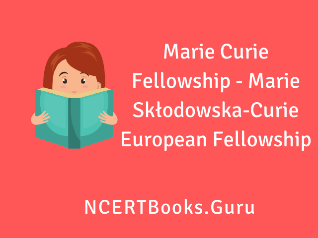 Marie Curie Fellowship