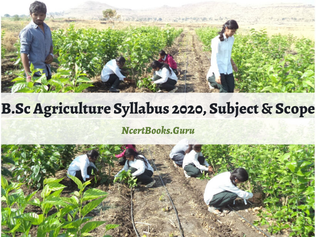 B.Sc Agriculture Syllabus 2020